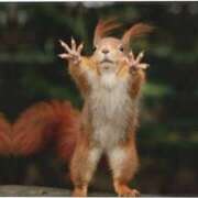 ヒメ日記 2025/03/09 23:12 投稿 なおみ　奥様 SUTEKIな奥様は好きですか?