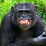 ヒメ日記 2025/03/15 19:57 投稿 なおみ　奥様 SUTEKIな奥様は好きですか?