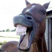 ヒメ日記 2025/03/27 09:03 投稿 なおみ　奥様 SUTEKIな奥様は好きですか?