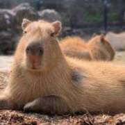 なおみ　奥様 おはようございます😊 SUTEKIな奥様は好きですか?