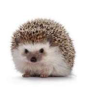 なおみ　奥様 こんばんは🥰 SUTEKIな奥様は好きですか?