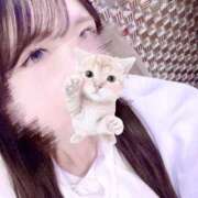 ヒメ日記 2025/07/16 19:26 投稿 かすみ 道玄坂クリスタル