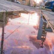 ヒメ日記 2025/04/03 15:08 投稿 れんか 福生デリ倶楽部