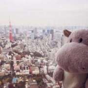 ヒメ日記 2025/04/12 14:06 投稿 れんか 福生デリ倶楽部