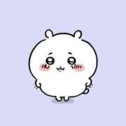 ヒメ日記 2025/02/26 08:43 投稿 ゆず ちゃんこ千葉東金店