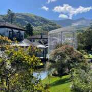 ヒメ日記 2025/11/15 14:36 投稿 あこ 吉祥寺角海老