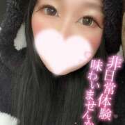 ヒメ日記 2025/03/23 00:26 投稿 ゆいか【フワパイFのドM美女】 なすがママされるがママ 宇都宮