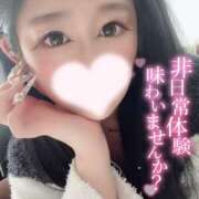 ヒメ日記 2025/03/26 12:06 投稿 ゆいか【フワパイFのドM美女】 なすがママされるがママ 宇都宮