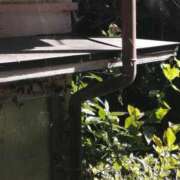 ヒメ日記 2025/02/22 05:03 投稿 まさみ　奥様 SUTEKIな奥様は好きですか?