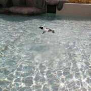 ヒメ日記 2025/04/14 09:03 投稿 まさみ　奥様 SUTEKIな奥様は好きですか?