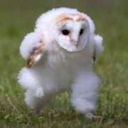 ヒメ日記 2025/04/15 14:49 投稿 まさみ　奥様 SUTEKIな奥様は好きですか?