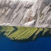 ヒメ日記 2025/04/16 23:03 投稿 まさみ　奥様 SUTEKIな奥様は好きですか?