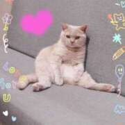 ヒメ日記 2025/06/14 09:57 投稿 まさみ　奥様 SUTEKIな奥様は好きですか?