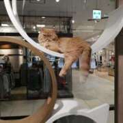 ヒメ日記 2025/07/25 06:03 投稿 まさみ　奥様 SUTEKIな奥様は好きですか?