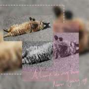 ヒメ日記 2025/09/22 16:15 投稿 まさみ　奥様 SUTEKIな奥様は好きですか?