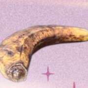 ヒメ日記 2025/10/10 18:33 投稿 まさみ　奥様 SUTEKIな奥様は好きですか?