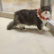 ヒメ日記 2025/11/07 10:18 投稿 まさみ　奥様 SUTEKIな奥様は好きですか?