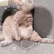 ヒメ日記 2025/11/29 18:03 投稿 まさみ　奥様 SUTEKIな奥様は好きですか?