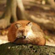 ヒメ日記 2025/12/07 14:48 投稿 まさみ　奥様 SUTEKIな奥様は好きですか?