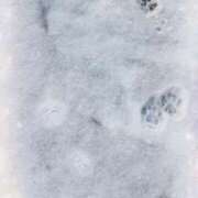 ヒメ日記 2026/01/25 14:03 投稿 まさみ　奥様 SUTEKIな奥様は好きですか?