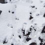 ヒメ日記 2026/02/09 16:12 投稿 まさみ　奥様 SUTEKIな奥様は好きですか?