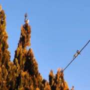 ヒメ日記 2026/02/20 08:57 投稿 まさみ　奥様 SUTEKIな奥様は好きですか?