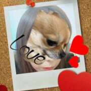 ヒメ日記 2025/04/01 21:04 投稿 ましろ　奥様 SUTEKIな奥様は好きですか?