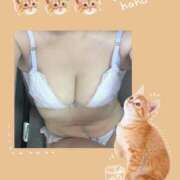 ヒメ日記 2025/04/02 21:48 投稿 ましろ　奥様 SUTEKIな奥様は好きですか?