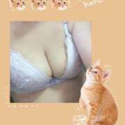 ヒメ日記 2025/06/19 18:13 投稿 ましろ　奥様 SUTEKIな奥様は好きですか?