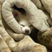 ヒメ日記 2025/06/27 22:33 投稿 ましろ　奥様 SUTEKIな奥様は好きですか?