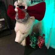 ヒメ日記 2025/12/19 23:57 投稿 ましろ　奥様 SUTEKIな奥様は好きですか?