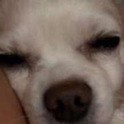 ヒメ日記 2026/02/05 12:57 投稿 ましろ　奥様 SUTEKIな奥様は好きですか?