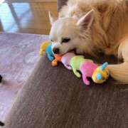 ヒメ日記 2026/03/20 18:19 投稿 ましろ　奥様 SUTEKIな奥様は好きですか?