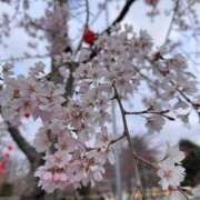 ヒメ日記 2026/04/02 18:33 投稿 ましろ　奥様 SUTEKIな奥様は好きですか?