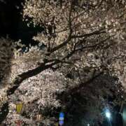 ヒメ日記 2026/04/04 00:04 投稿 ましろ　奥様 SUTEKIな奥様は好きですか?