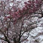 ヒメ日記 2026/04/05 23:04 投稿 ましろ　奥様 SUTEKIな奥様は好きですか?