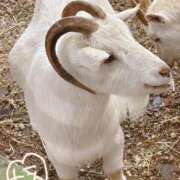 ヒメ日記 2025/02/25 09:35 投稿 ちえ 萌えコス