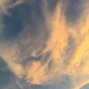 ヒメ日記 2025/08/01 01:12 投稿 みづき 英乃國屋