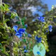 りの :)おはよう 秘密倶楽部 凛 船橋本店