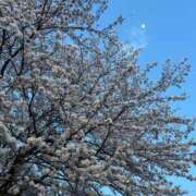 ヒメ日記 2025/04/07 10:09 投稿 城庵みくも 手コキ研修塾