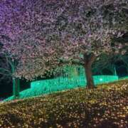 ヒメ日記 2025/04/15 09:59 投稿 城庵みくも 手コキ研修塾