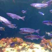 ヒメ日記 2025/07/08 21:22 投稿 かなん 熟女の風俗最終章 新宿店