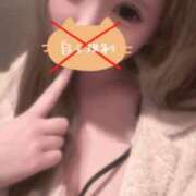 ヒメ日記 2025/03/12 15:55 投稿 のあ Wonder7 (ワンダー7)