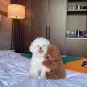 ヒメ日記 2025/07/11 18:44 投稿 三波めい 錦糸町アロマエステ ゆめここ-yumecoco-