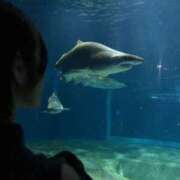 ヒメ日記 2025/12/09 15:46 投稿 三波めい 錦糸町アロマエステ ゆめここ-yumecoco-