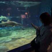 ヒメ日記 2026/03/02 22:21 投稿 三波めい 錦糸町アロマエステ ゆめここ-yumecoco-