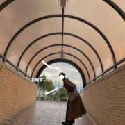 ヒメ日記 2026/03/16 21:33 投稿 三波めい 錦糸町アロマエステ ゆめここ-yumecoco-