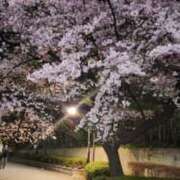 ヒメ日記 2025/03/15 14:47 投稿 かのん パンドラ(上野)