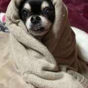 ヒメ日記 2025/10/18 15:10 投稿 愛(あい) チューリップ宇都宮店