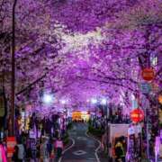 ヒメ日記 2025/04/13 01:12 投稿 まり デリドルファクトリー